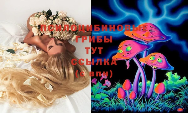 МДПВ Армянск