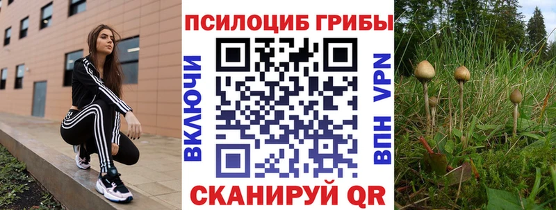 Псилоцибиновые грибы прущие грибы  сколько стоит  hydra ссылки  Чернушка 